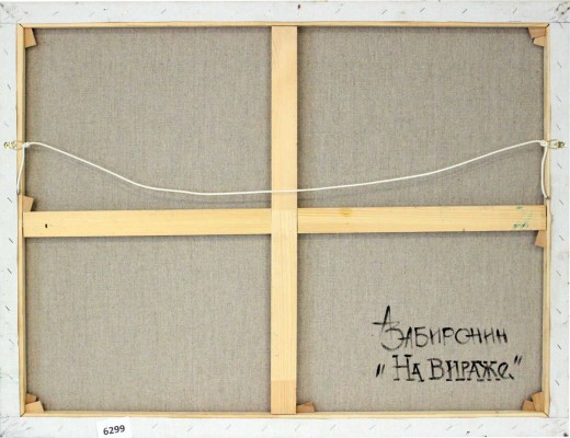 Забиронин Андрей Николаевич. На вираже 